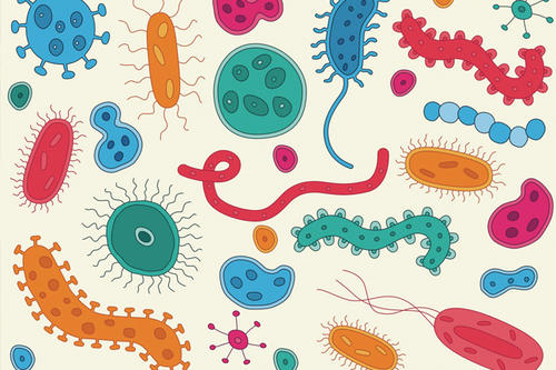 A colorful illustration of bacteria.
