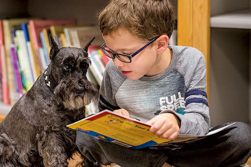 young boy reading to a dog