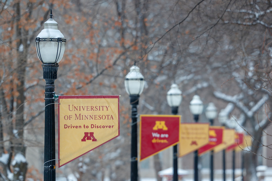 University of Minnesota flags on lampposts on the Twin Cities campus