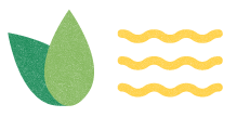 A two-toned flower and wavy yellow lines.