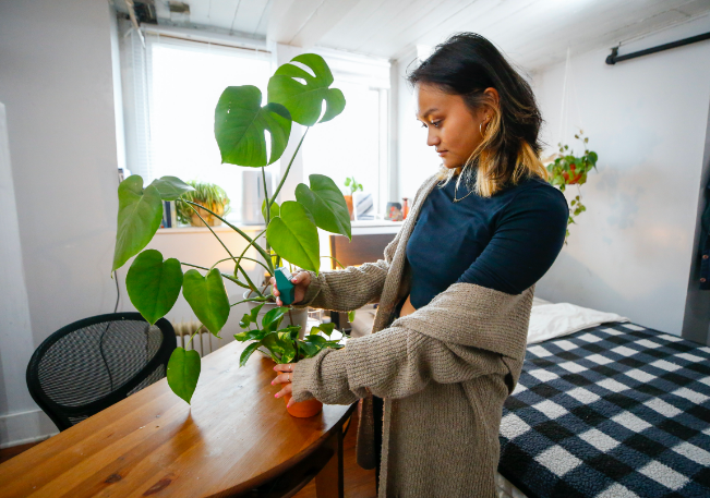 a student tending to a plant