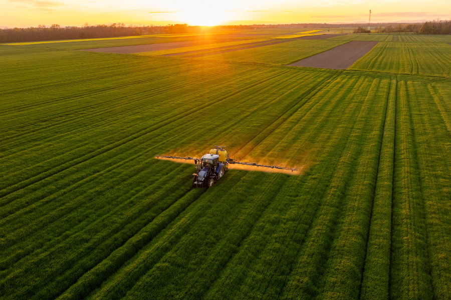 A tractor is fertilizing a vast green agricultural field at sunset, creating a serene rural atmosphere. The golden light adds warmth and depth to the lush landscape.