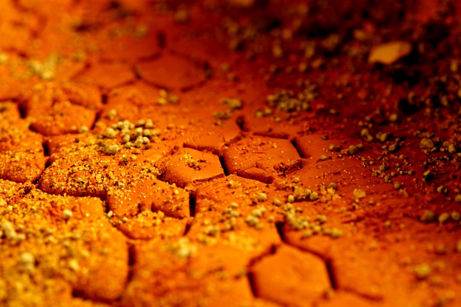 An image of red soil evoking the dry and harsh conditions on Mars.