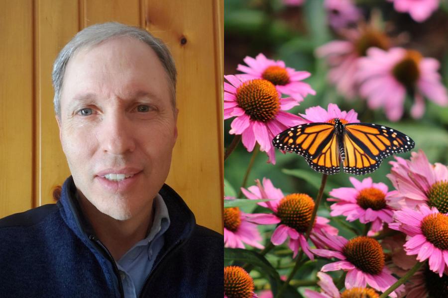 Image of Dan Shaw next to an image of a butterfly in a pollinator garden. Credit: Getty Images