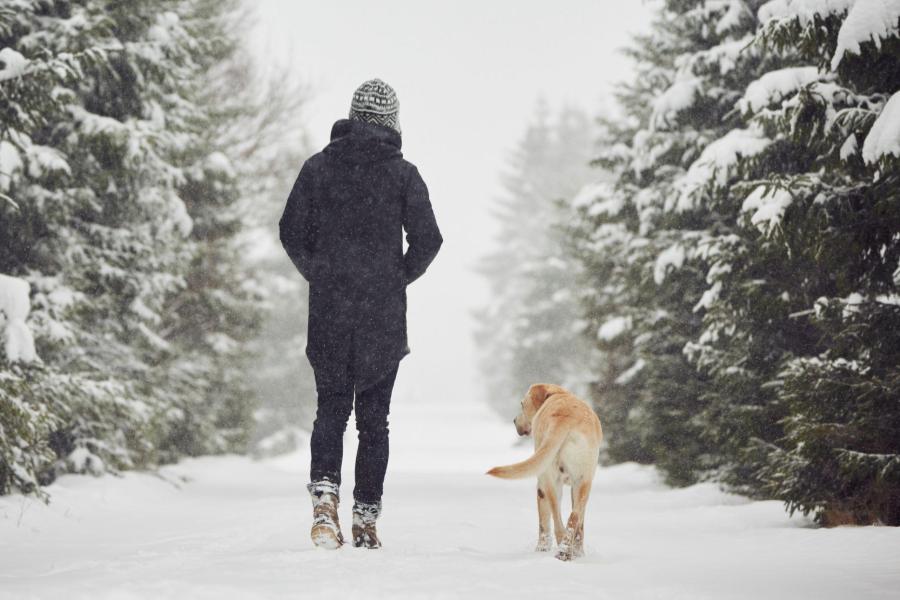Dog and owner walk through the snow