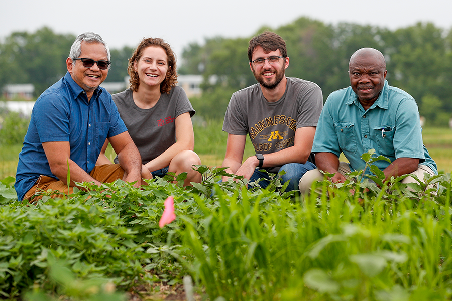 Rex Bernardo, Hannah Stoll, Michael Burns, and Chidi Chidozie crouch in a field near African vegetables.
