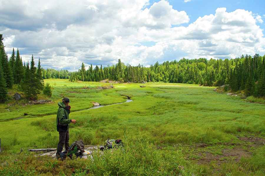 Researcher Austin Homkes looks out over an abandoned beaver pond in Voyageurs National Park.