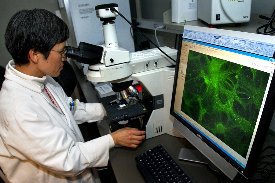 Image of a man in a lab coat looking into a microscope while a green image displays on a computer screen in front of him.