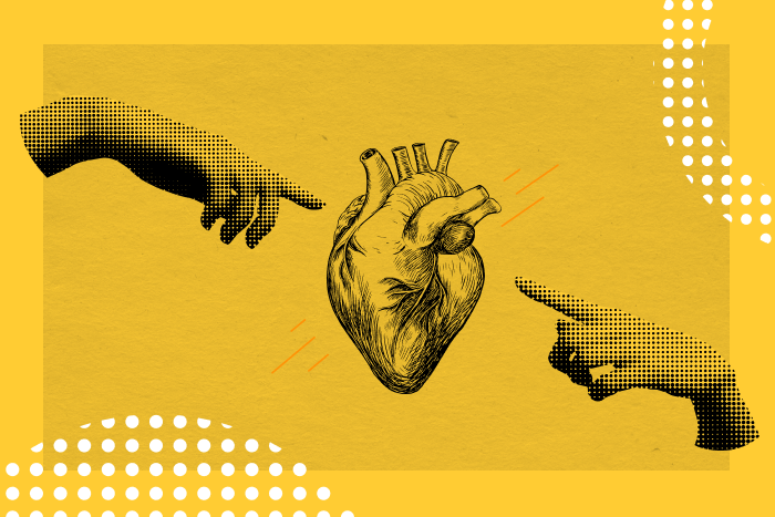 Graphic showing two hands pointing to an illustration of a human hart