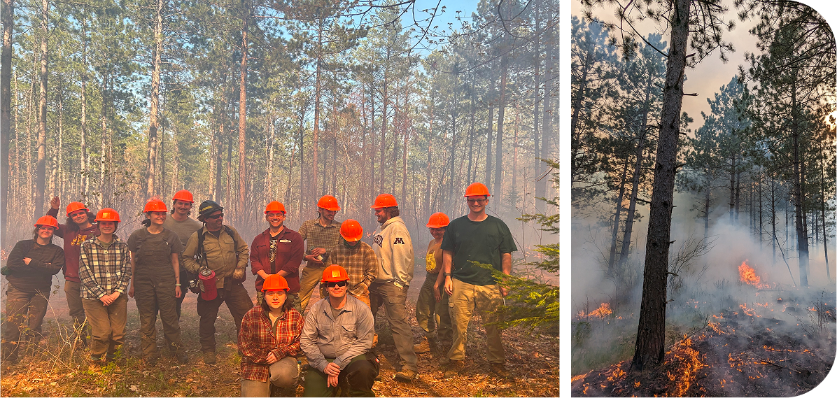 Students in Marcella Windmuller-Campione's field silviculture class at a controlled burn at the Cloquet Forestry Center