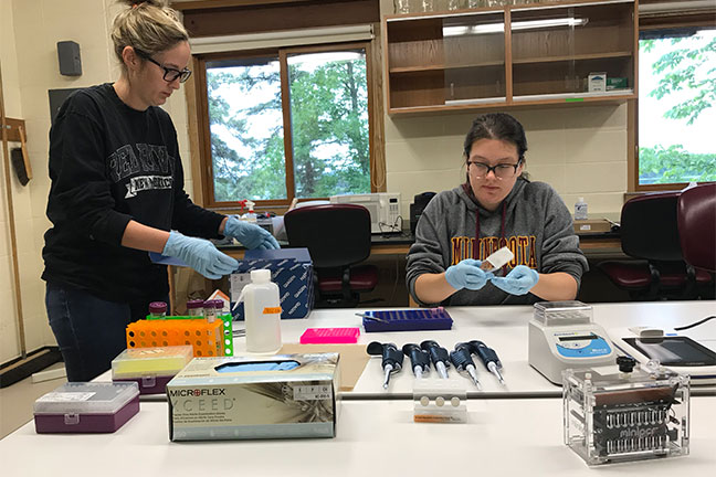 Laramie Lindsey (left) and Kenwyn Shriner (right) set up the mobile lab in the U of M’s biological field station at Itasca State Park.