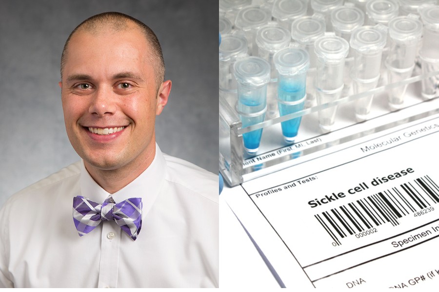 Portrait of Professor Alexander Boucher next to a stock image of test tubes and a sheet of paper that says “Sickle cell disease.”