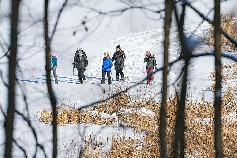 a group of five arboretum adventurers walking in snow