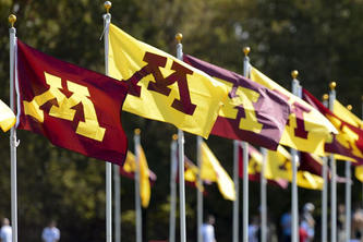 A row of maroon and gold M flags flapping in the wind
