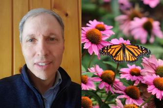 Image of Dan Shaw next to an image of a butterfly in a pollinator garden. Credit: Getty Images