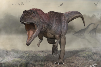 Image of Meraxes gigas, a large dinosaur similar to T. rex