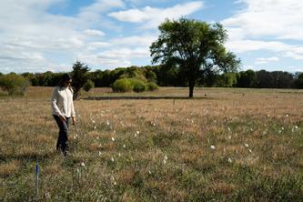 Karen Castillioni stands in a sunlit field marked with flags for the experiment, with trees in the distance.