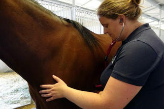 Sian Durward-Akhurst listens to a horse's heartbeat. -Photo courtesy of Kendall Blanchard