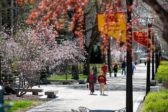 View of people walking on the Twin Cities campus in the spring.