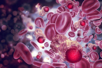 A digital rendering of blood cells