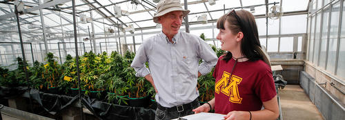 A female student holds a clipboard talking with a teacher inside of a greenhouse growing medical marijuana