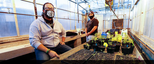 Bryant Jones wearing face mask in greenhouse with seedlings on wooden table