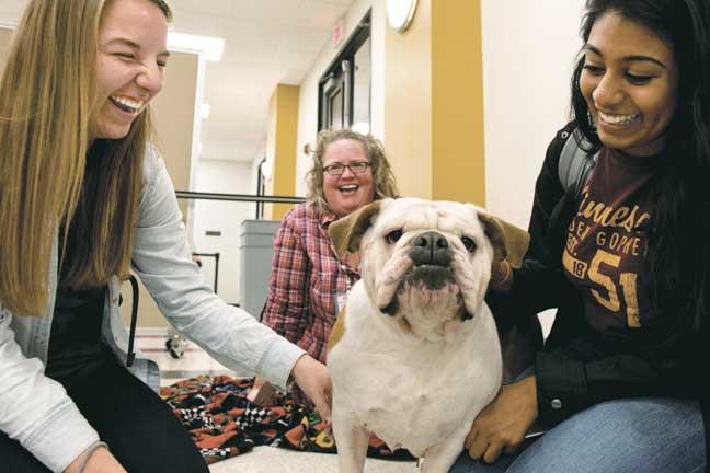 Smiling-students-surround-a-happy-dog-at-a-PAWS-session