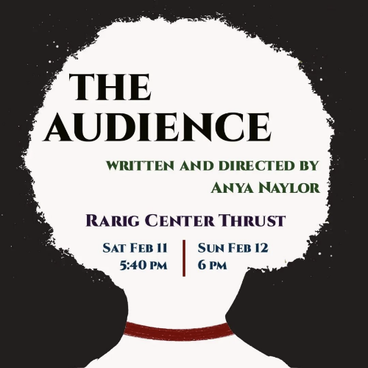 Poster for Anya Naylor's "The Audience."
