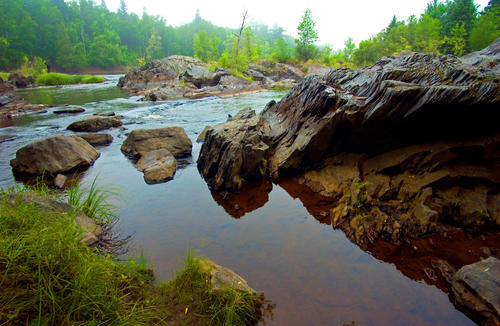 Clear water runs over brown stones and past green shoes, lined with grass and evergreen trees, in this scene from the Minnesota wilderness