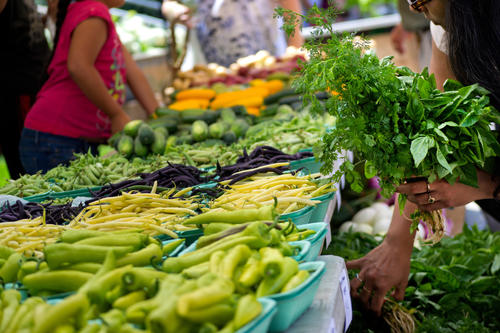 A woman shops over a table covered with fresh produce at a farmer's market