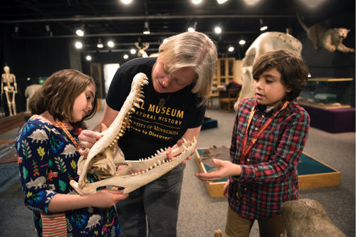 young children examining alligator skull with volunteer at Bell Museum