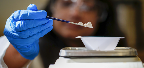 Researcher wearing gloves weighing a sample of plant protein
