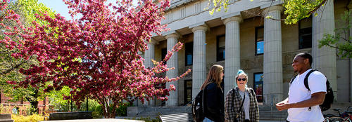Three students stand by a maroon leafed tree in front of a columned building
