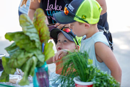 two small boys examining produce for sale, with leafy greens in the foreground