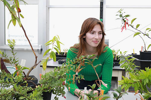 Leah Hallett, red hair and green shirt, sits next to potted plants.