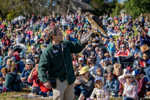 Raptor Center worker shows falcon to outdoor audience of people