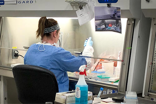 A lab worker works with what appears to be a pipette at a glass-enclosed hood.