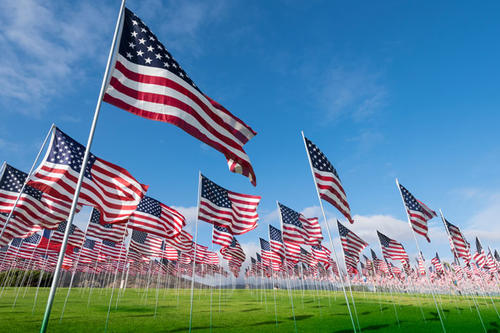 A photo of many American flags flying against a blue sky
