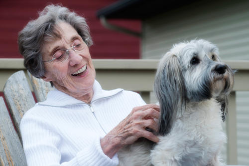 A senior woman pets a dog sitting on her lap.