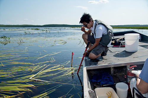 A young Asian male researcher counts stems in a square frame from a boat on a lake. 