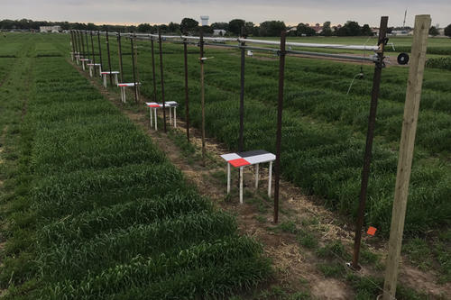 An automated field camera track system to collect data on dynamic plant traits such as crop lodging and movement as it’s happening in the field, to help reduce losses in crop yield.