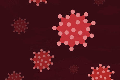 An image of the novel coronavirus.