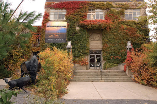 Bell Museum in Autumn