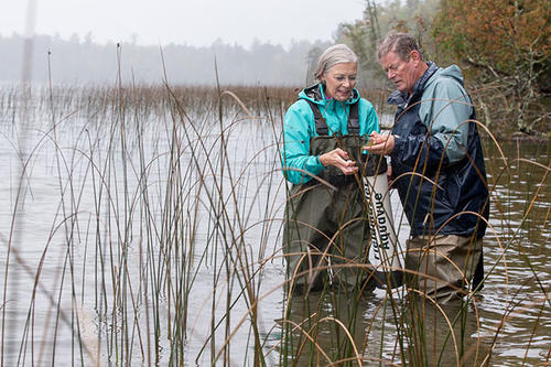 Cecilia Riedman and Stephen Long look for invasive species in the water.