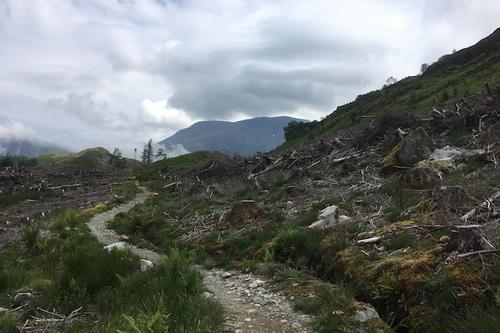 Clearcut forests outside of Fort William, Scotland.