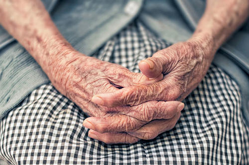 Elderly female hands folded on lap.