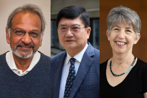 From left to right: Ned Mohan, David Pui and Marlene Zuk