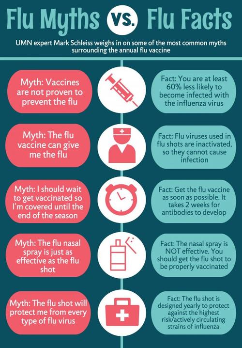 Infographic comparing the myths versus the facts regarding flue vaccines