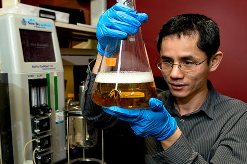 Kechun Zhang in his lab, holding a large Erlenmeyer flask with a yellow liquid with foam at the top; this is a bacterial culture.