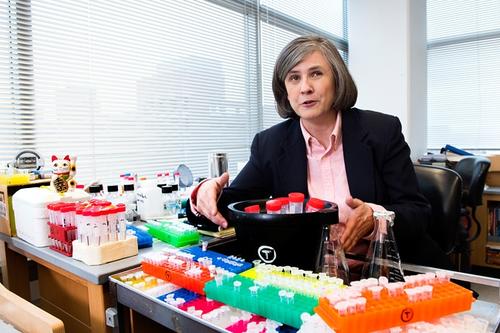 Margaret Titus in her lab with a bucket of test tubes on ice.